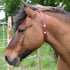 Alzoo Herbal Horse Fly Collar